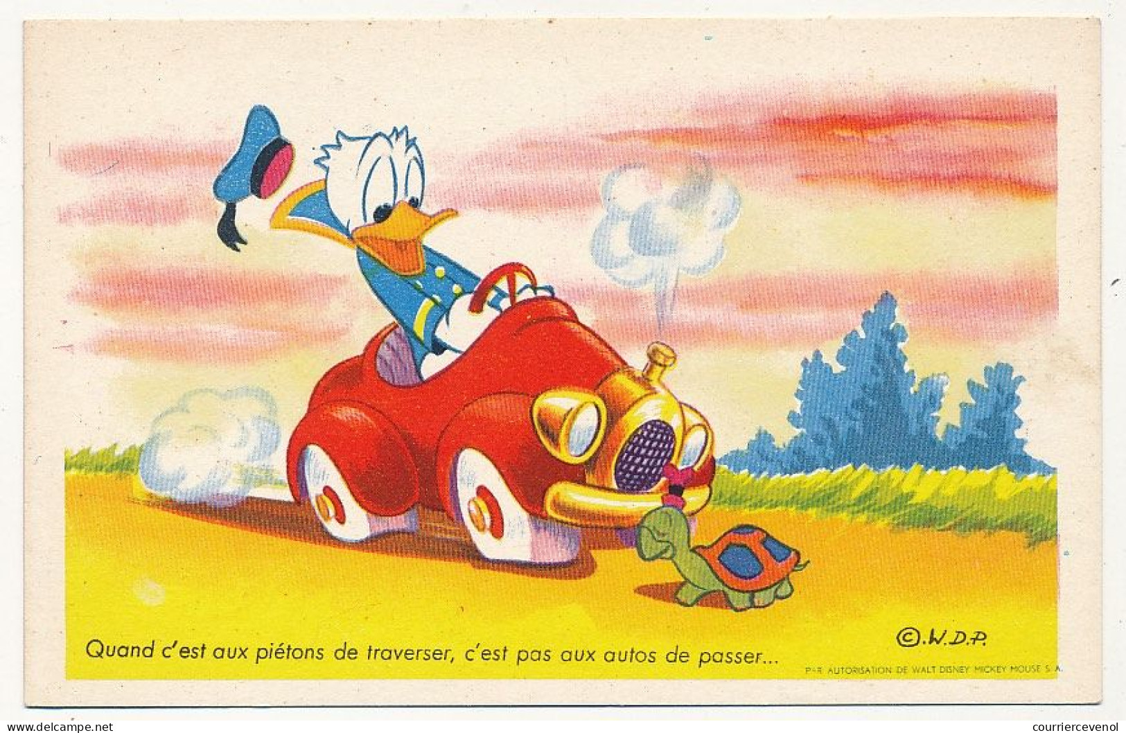 CPSM - WALT DISNEY - DONALD - Quand C'est Aux Piétons De Traverser, C'est Pas Aux Autos De Passer... - Andere & Zonder Classificatie