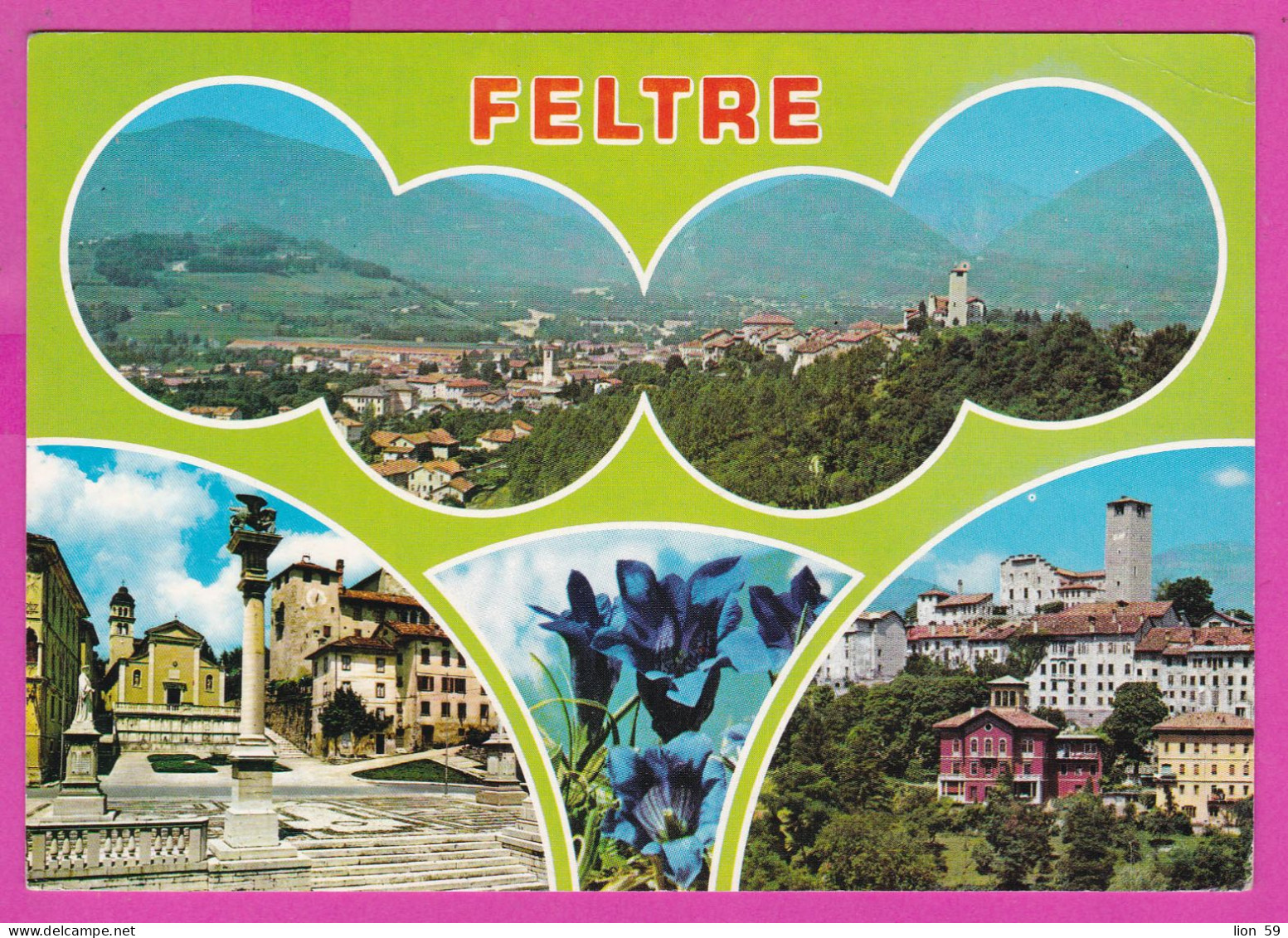 294038 / Italy - FELTRE 4 View PC 1998 USED 800 L. 4th International Meeting Fossils, Evolution And Environment - 1991-00: Poststempel