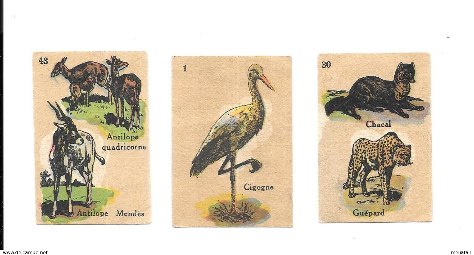 EC98 - VIGNETTES PATES LA CIGOGNE STRASBOURG - CIGOGNE - CHACAL GUEPARD - ANTILOPES - Other & Unclassified