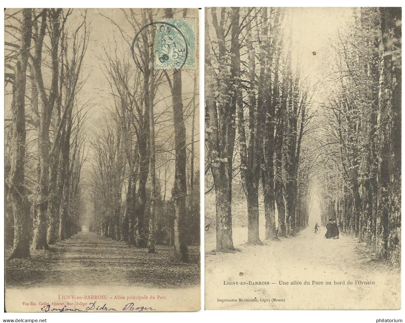 55  LIGNY En BARROIS  Une Allée Du Parc Au Bord De L' Ornain - Ligny En Barrois