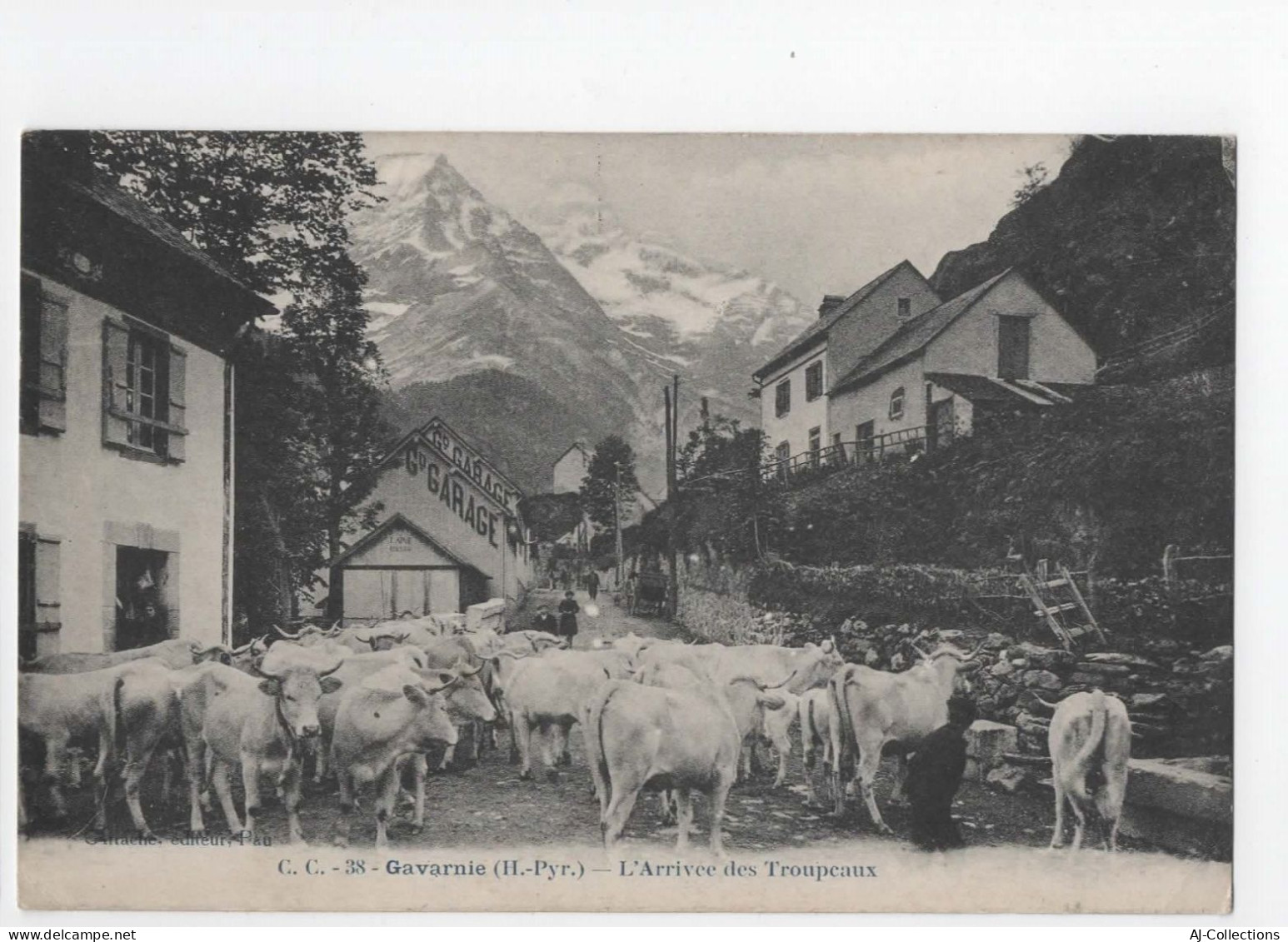 AJC - Gavarnie - L'arrivée Des Troupeaux - Gavarnie