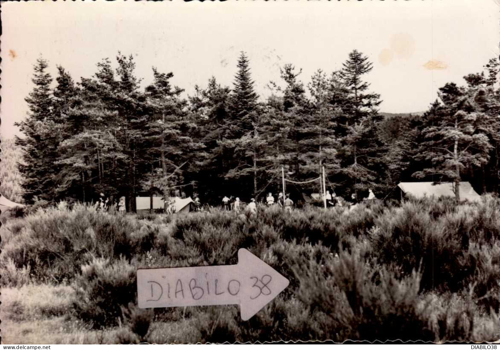 VEDRINES-SAINT-LOUP   ( CANTAL )    LE BOIS CHARMANT    ( LEGERE ROUSSEUR ) - Other & Unclassified