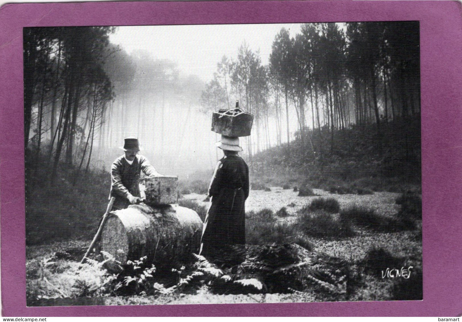 40 LES LANDES D'AUTREFOIS Ramassage De La Gemme  Cliché Emile VIGNES - Other & Unclassified