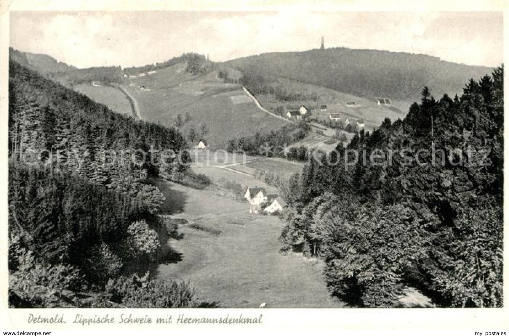 72992397 Detmold Panorama Hermannsdenkmal Detmold - Detmold