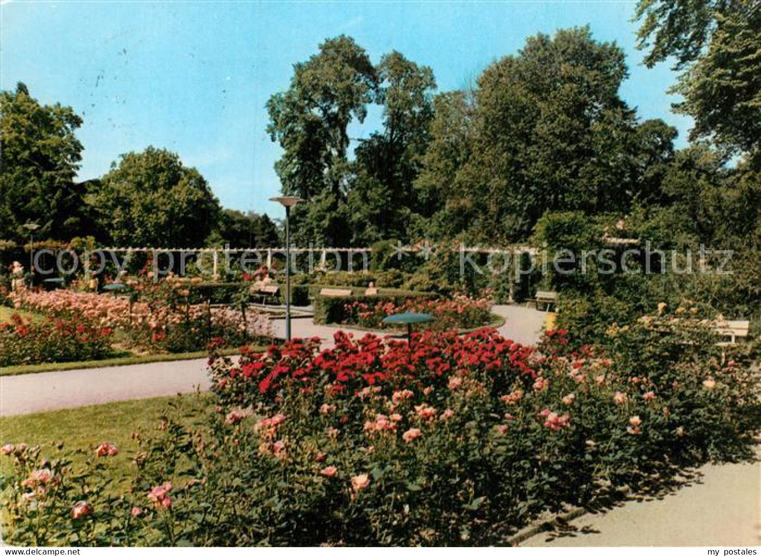 72991566 Bad Oeynhausen Kurpark Rosengarten Bad Oeynhausen - Bad Oeynhausen