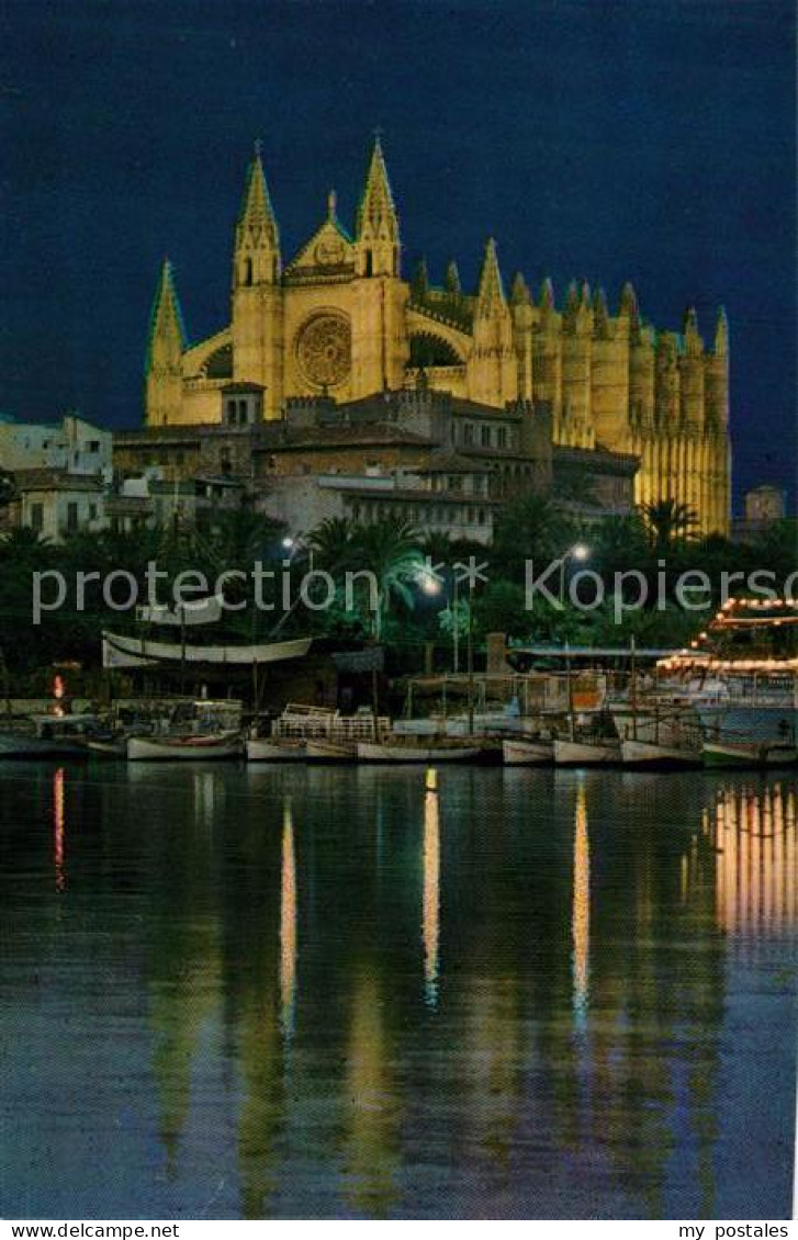 72990616 Palma De Mallorca Vista Nocturna De La Catedral Palma De Mallorca - Autres & Non Classés