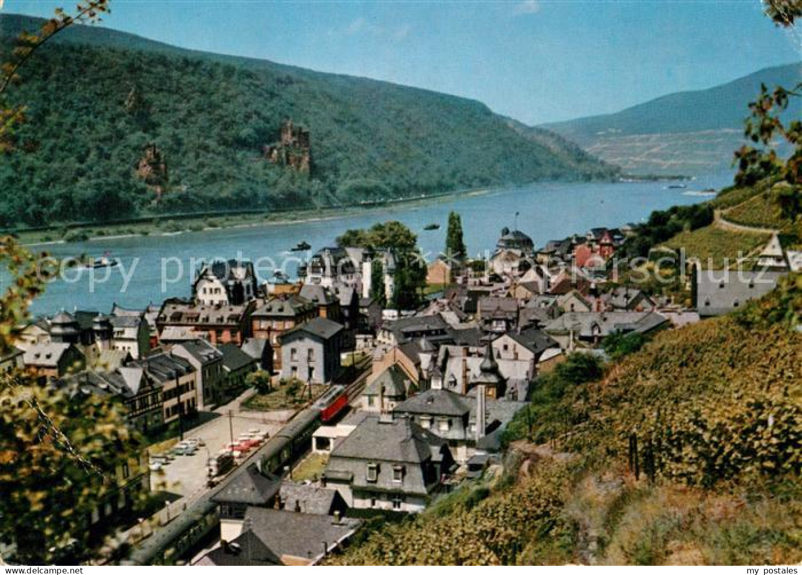 72990510 Assmannshausen Panorama Rhein Eisenbahn Jugoslawien Express Assmannshau - Rüdesheim A. Rh.