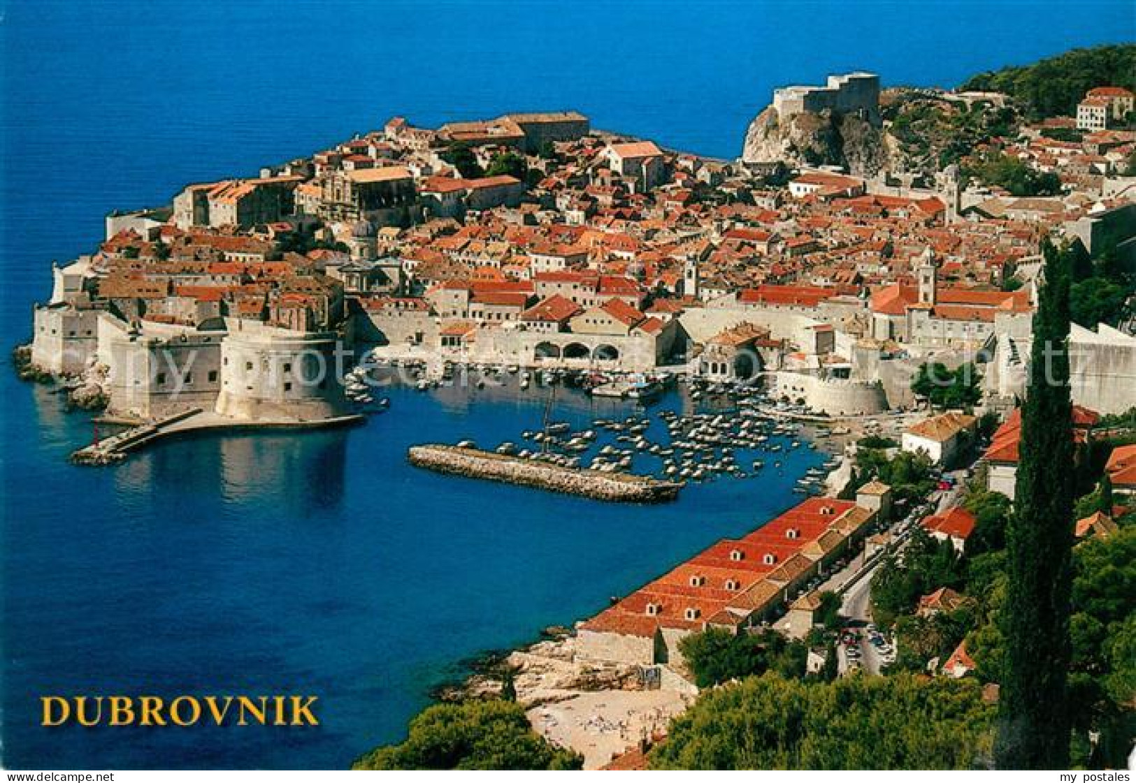 72990495 Dubrovnik Ragusa Blick Auf Hafen Und Altstadt Festung Dubrovnik Ragusa - Kroatien