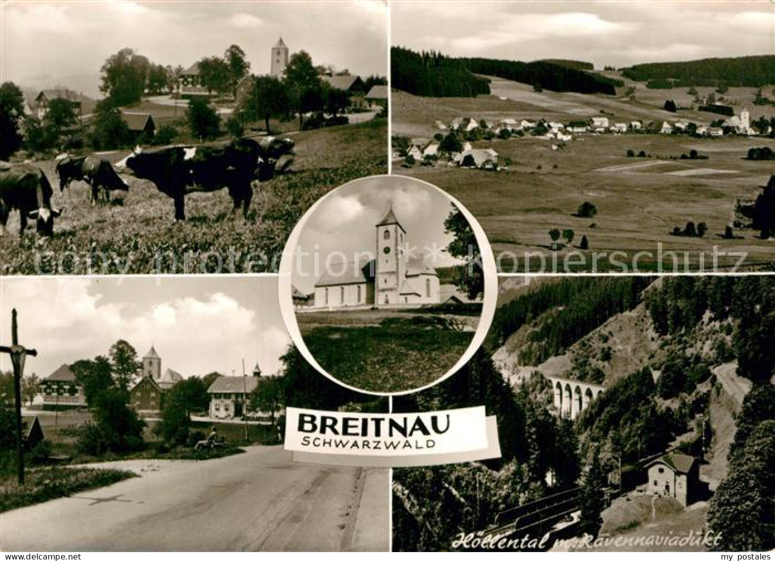 72990374 Breitnau Kuehe Ortspartie Ravennaviadukt Breitnau - Other & Unclassified