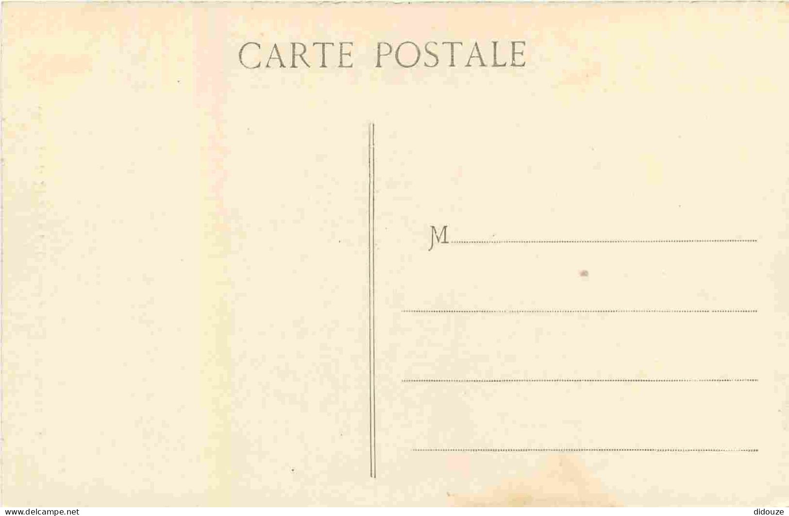 38 - Jallieu - Château Du Bel-Accueil - Porte D'entrée - CPA - Carte Neuve - Voir Scans Recto-Verso - Jallieu