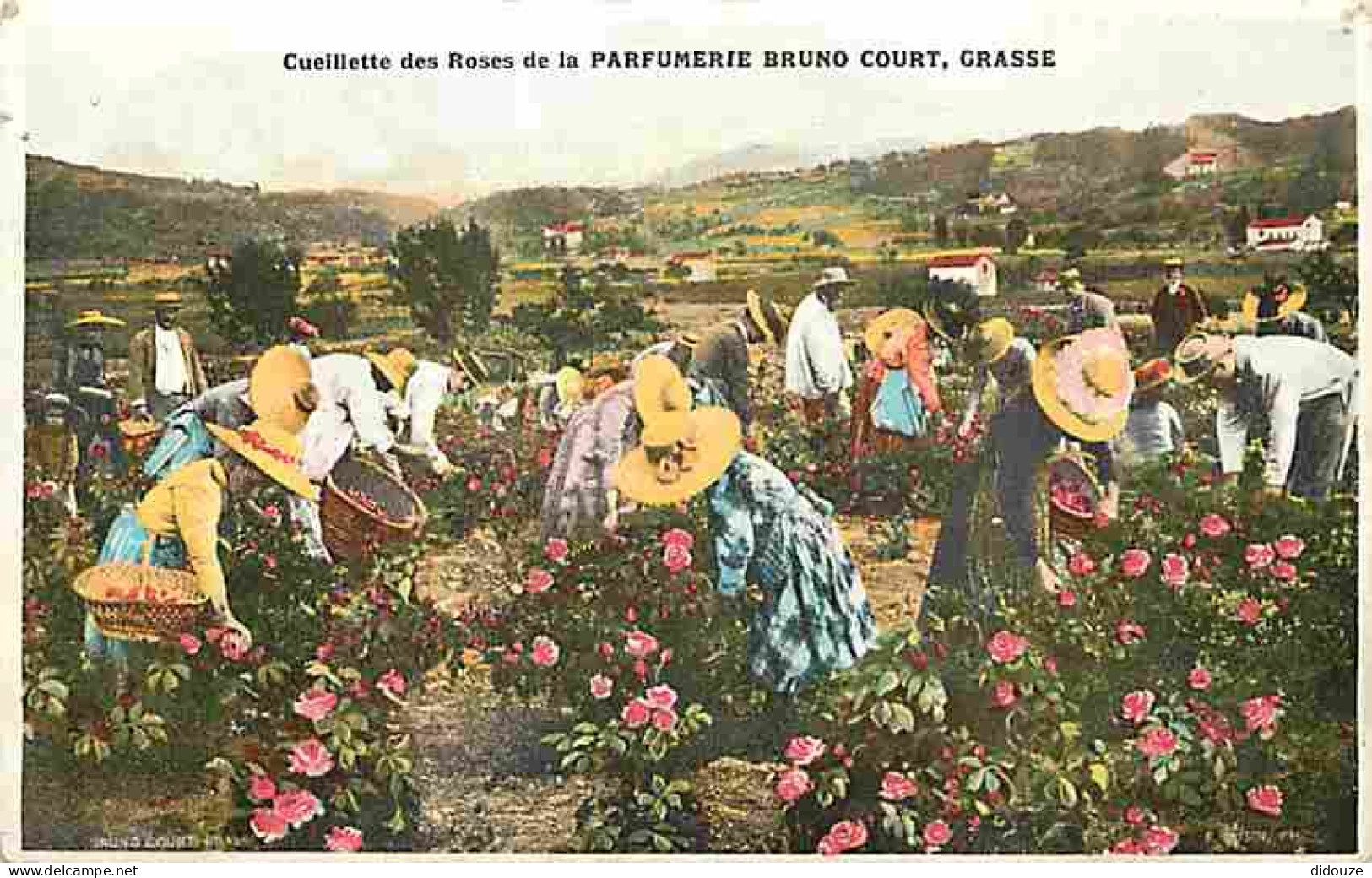 06 - Grasse - Cueillette Des Roses De La Parfumerie Bruno Court - Animée - Fleurs - Etat Petits Trous - CPA - Voir Scans - Grasse