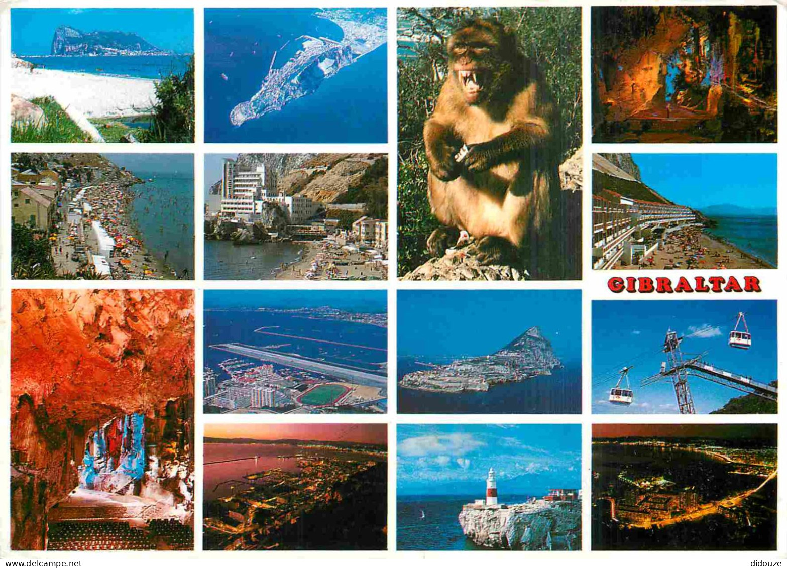 Gibraltar - Multivues - Singes - CPM - Voir Scans Recto-Verso - Gibraltar