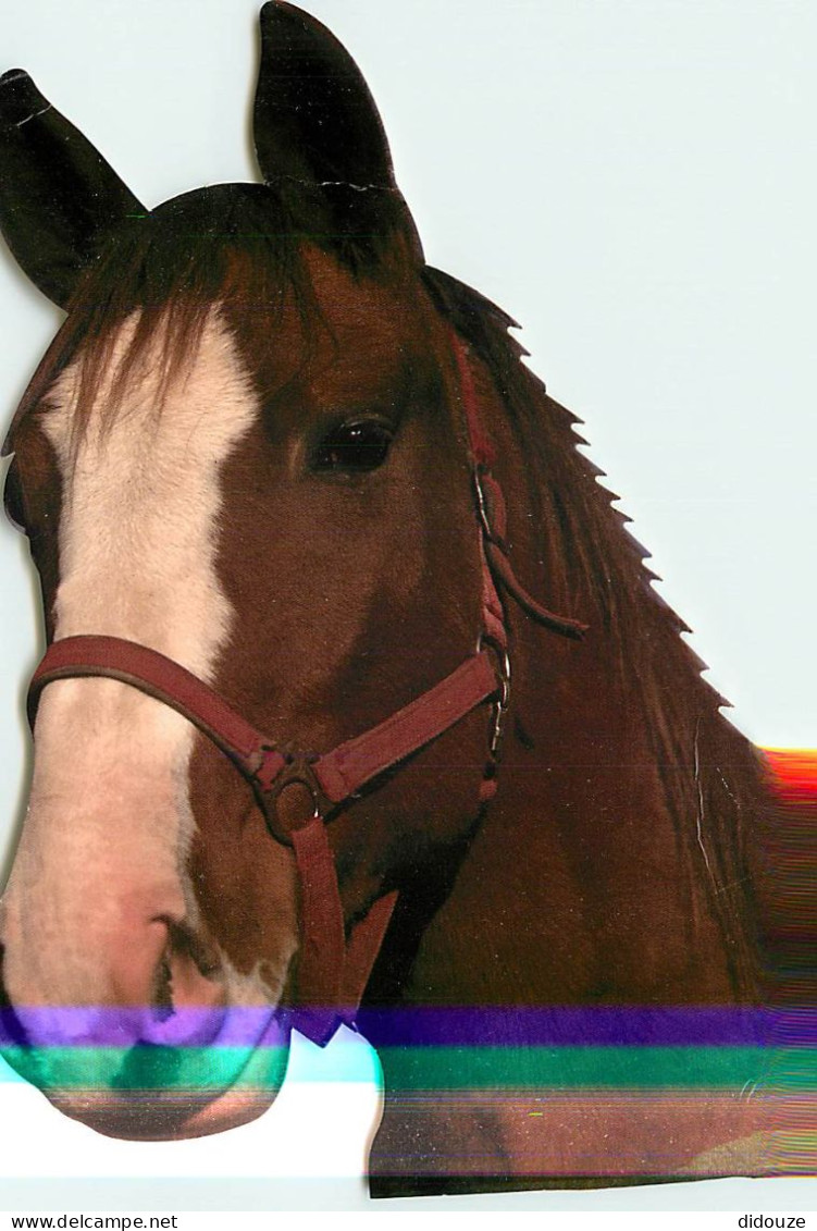 Format Spécial - 220 X 140 Mms - Animaux - Chevaux - Portrait - Tête De Cheval - Découpe Originale - Etat Léger Pli Visi - Horses
