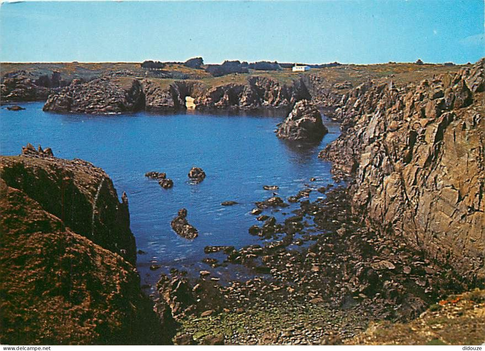 85 - Ile D'Yeu - La Côte Sauvage Vers La Pierre Tremblante - Carte Neuve - CPM - Voir Scans Recto-Verso - Ile D'Yeu