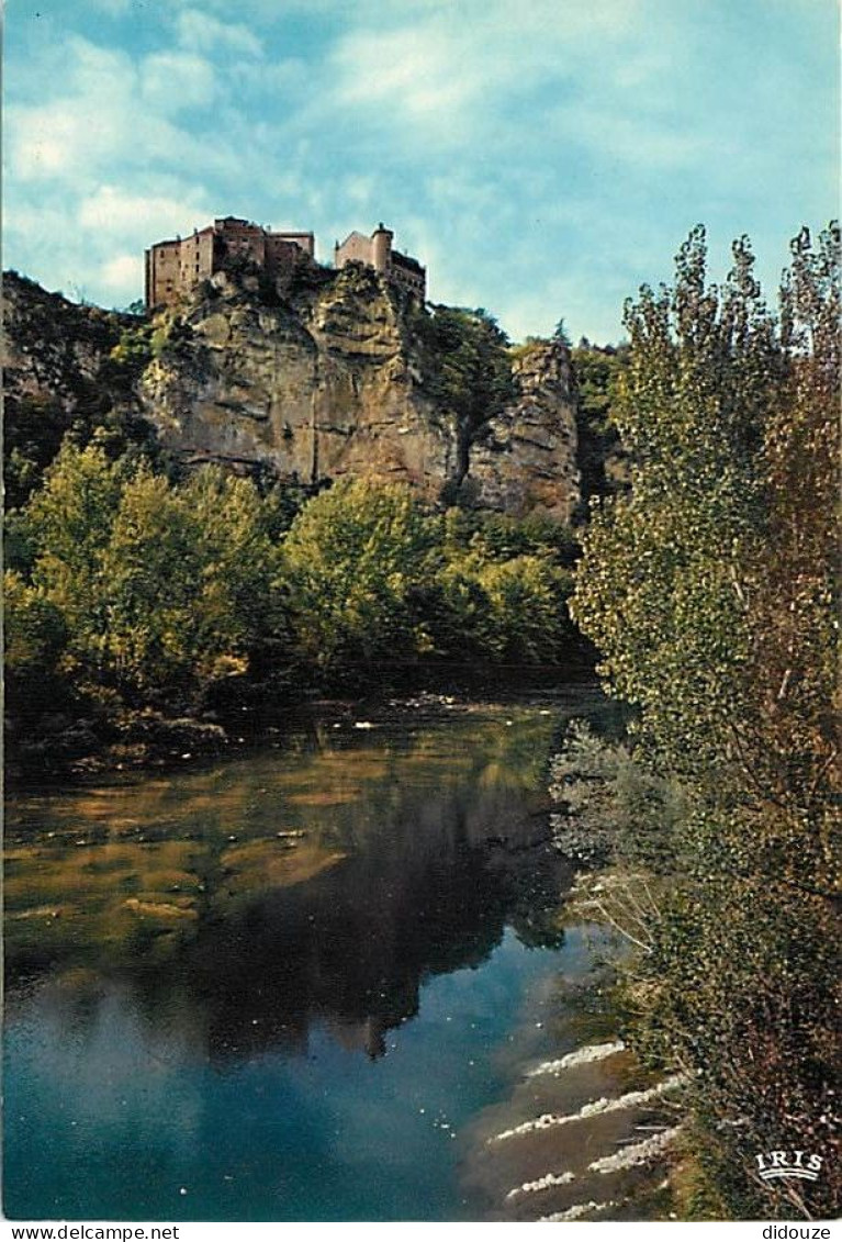 82 - Bruniquel - Les Gorges De L'Aveyron - Le Château De Bruniquel - CPM - Voir Scans Recto-Verso - Other & Unclassified