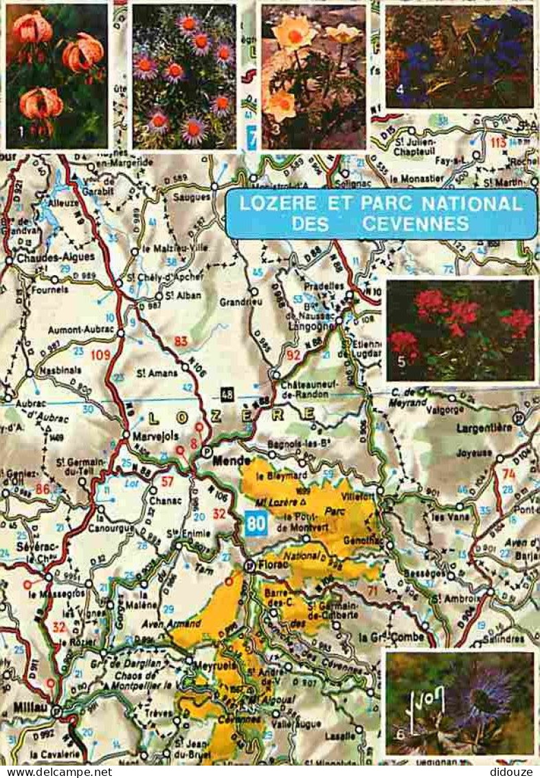 48 - Lozère - Parc National Des Cevennes - Multivues - Fleurs - Carte Géographique Michelin - CPM - Voir Scans Recto-Ver - Andere & Zonder Classificatie