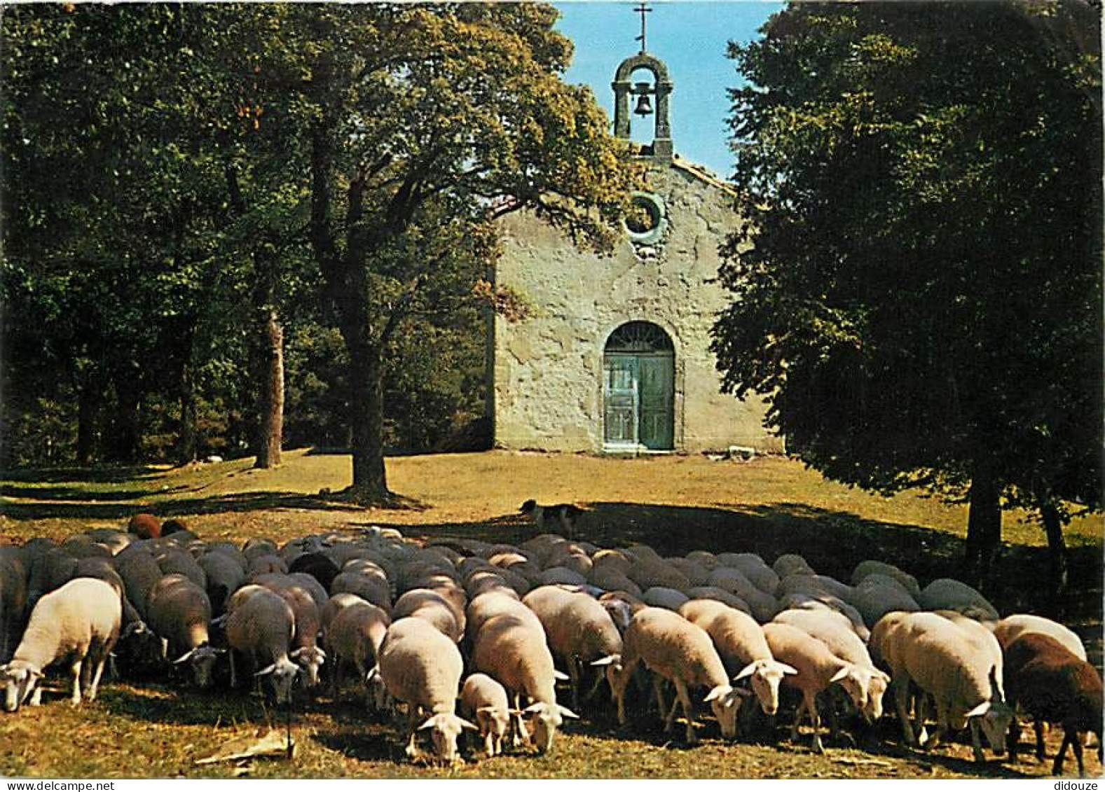 Animaux - Moutons - Auvergne - Notre Dame De Beau Regard Près Saugues - CPM - Voir Scans Recto-Verso - Autres & Non Classés