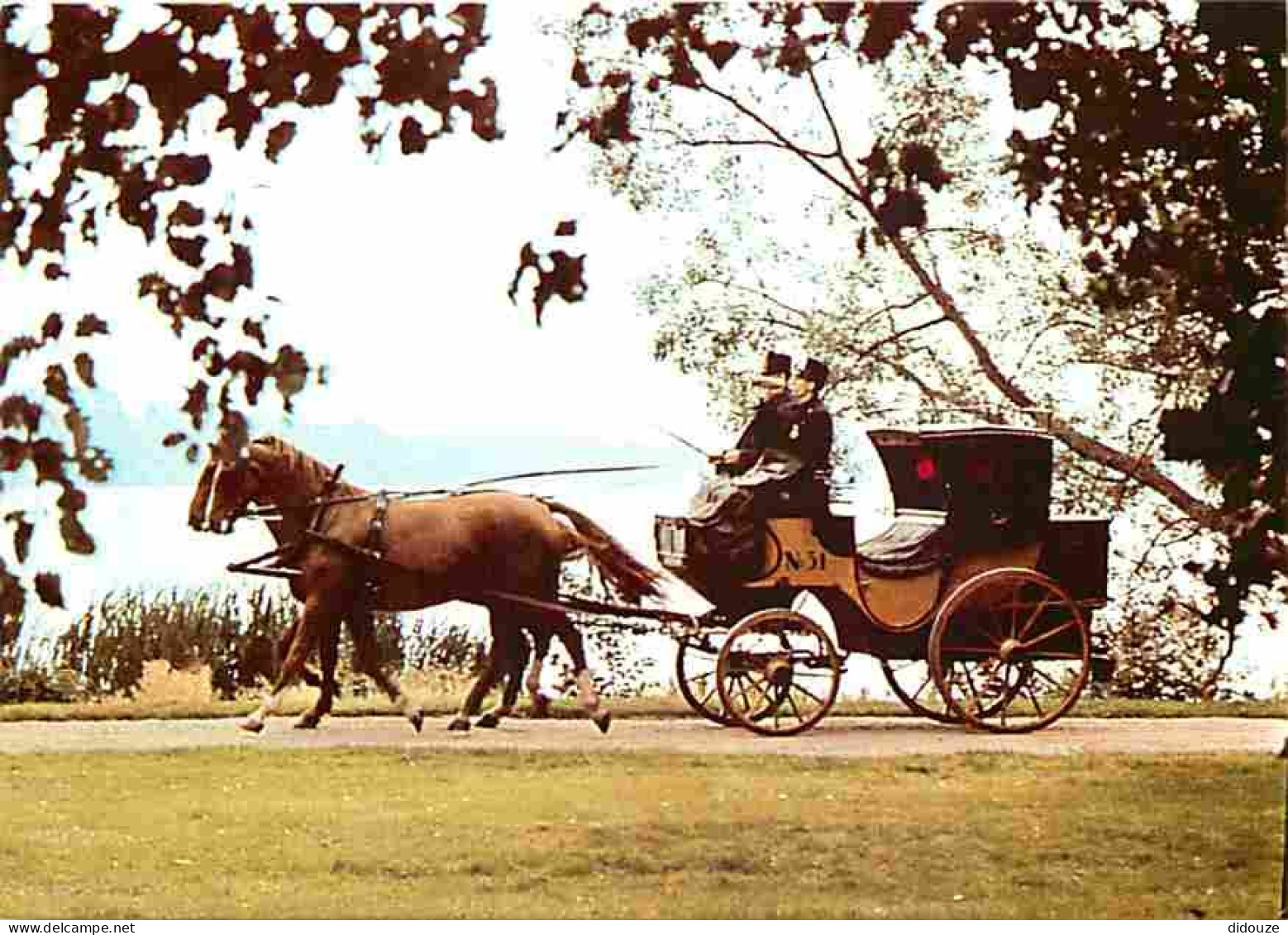 Animaux - Chevaux - A Swedish Postal Coach Of The Eighteen-eighties - Fiacre - Carte Neuve - Voir Scans Recto Verso  - Chevaux