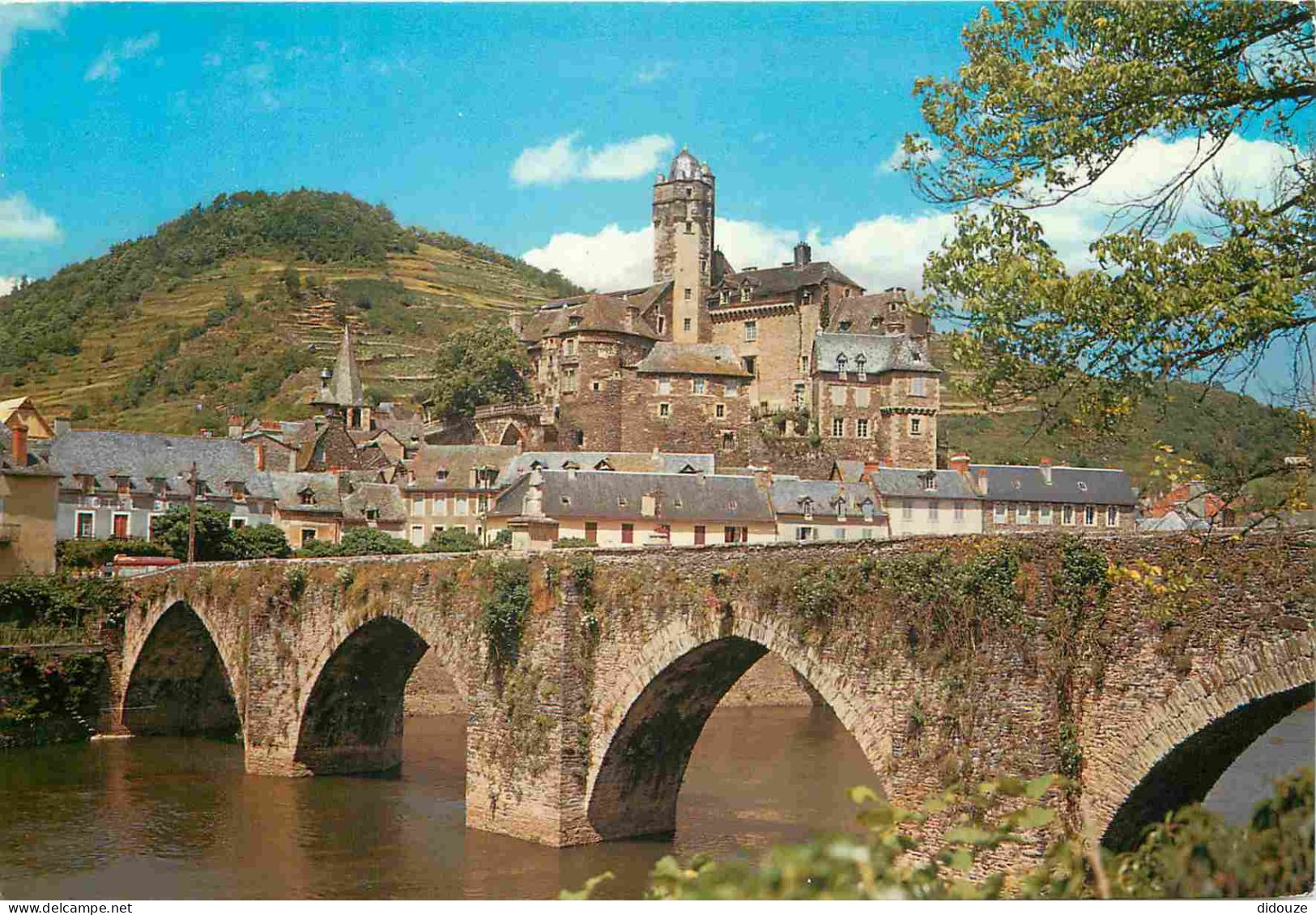 12 - Estaing - Vue Générale - Le Pont Gothique Dans Le Cadre Du Château - CPM - Voir Scans Recto-Verso - Sonstige & Ohne Zuordnung