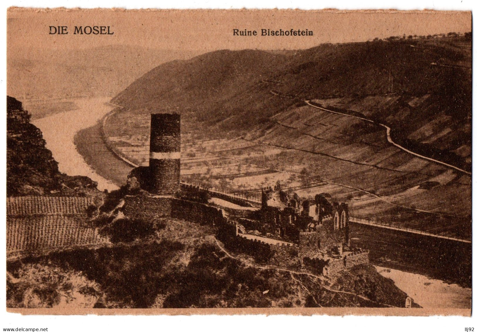 CPA SUISSE - DIe Mosel - Ruine Bischofstein - Autres & Non Classés