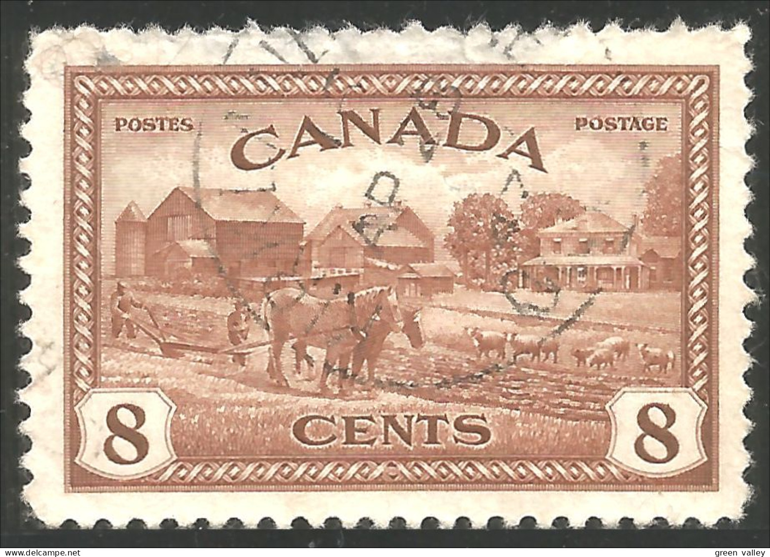 970 Canada Ferme Farm Harse Cheval Pferd (175) - Landwirtschaft