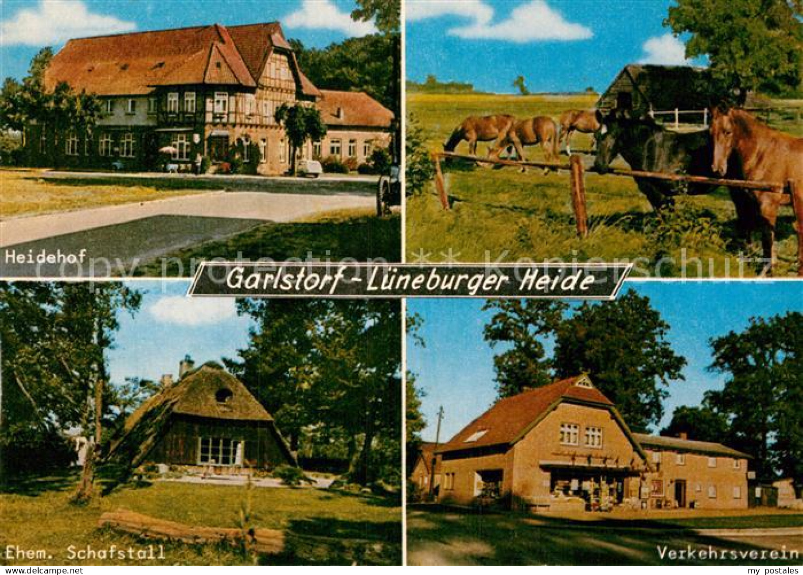 72987917 Garlstorf Walde Heidehof Pferdekoppel Schafstall Verkehrsverein Garlsto - Otros & Sin Clasificación