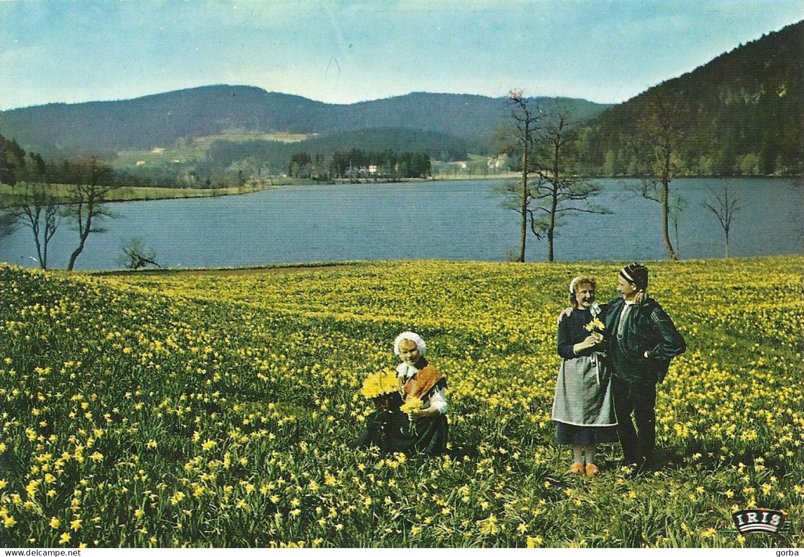 *CPM - Les Vosges Pittoresques - Jeunes Géromois Cueillant Des Jonquilles - Costumes