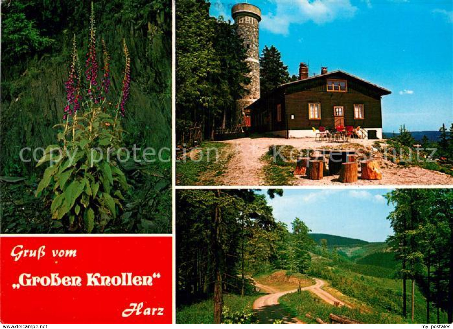 72987533 Bad Lauterberg Grosser Knollen Wanderhuette Bad Lauterberg - Bad Lauterberg