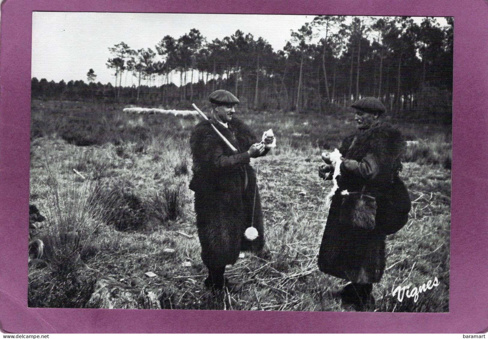 40 LES LANDES D'AUTREFOIS   Bergers Filant La Laine   Cliché Emile VIGNES - Autres & Non Classés