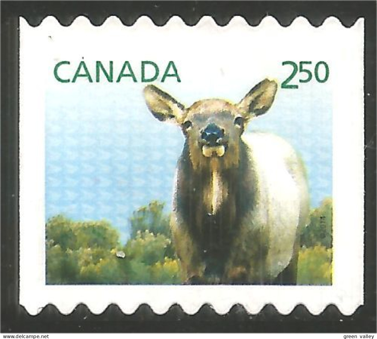 Canada Wapiti Mint No Gum (25-008a) - Usati