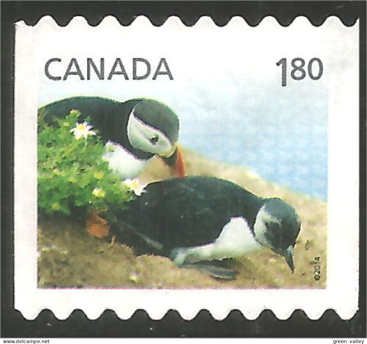 Canada Macareux Puffin Frailecillo Puffin Papageientaucher Mint No Gum (18-002) - Used Stamps