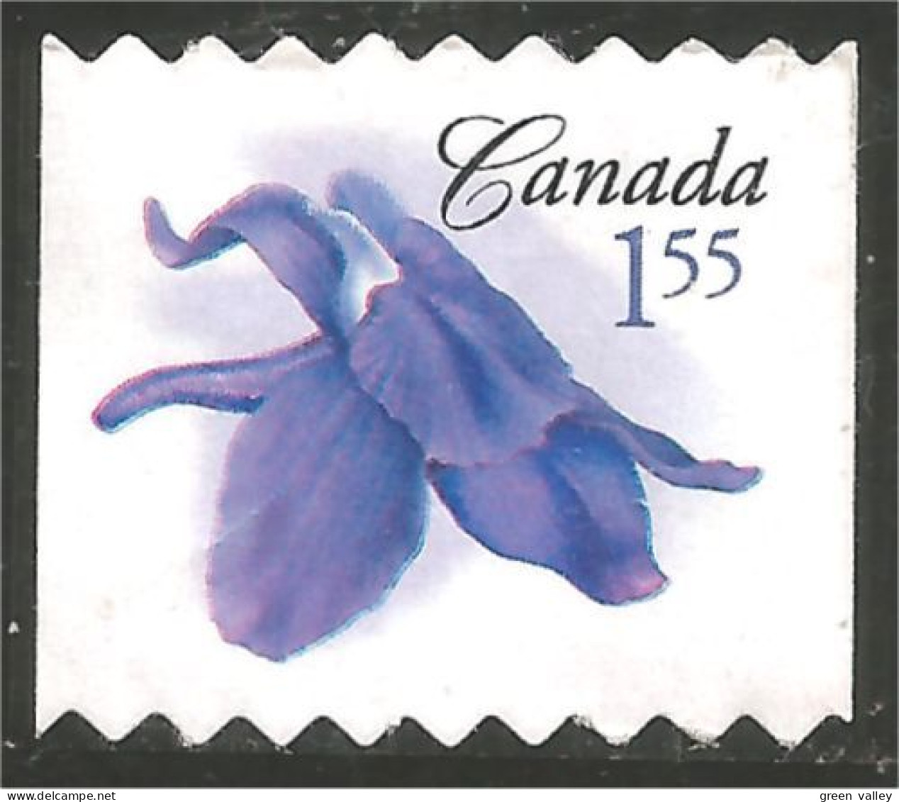 Canada Larkspur Rittersporn Delphinium Pied-d'alouette Mint No Gum (15-003b) - Sonstige & Ohne Zuordnung