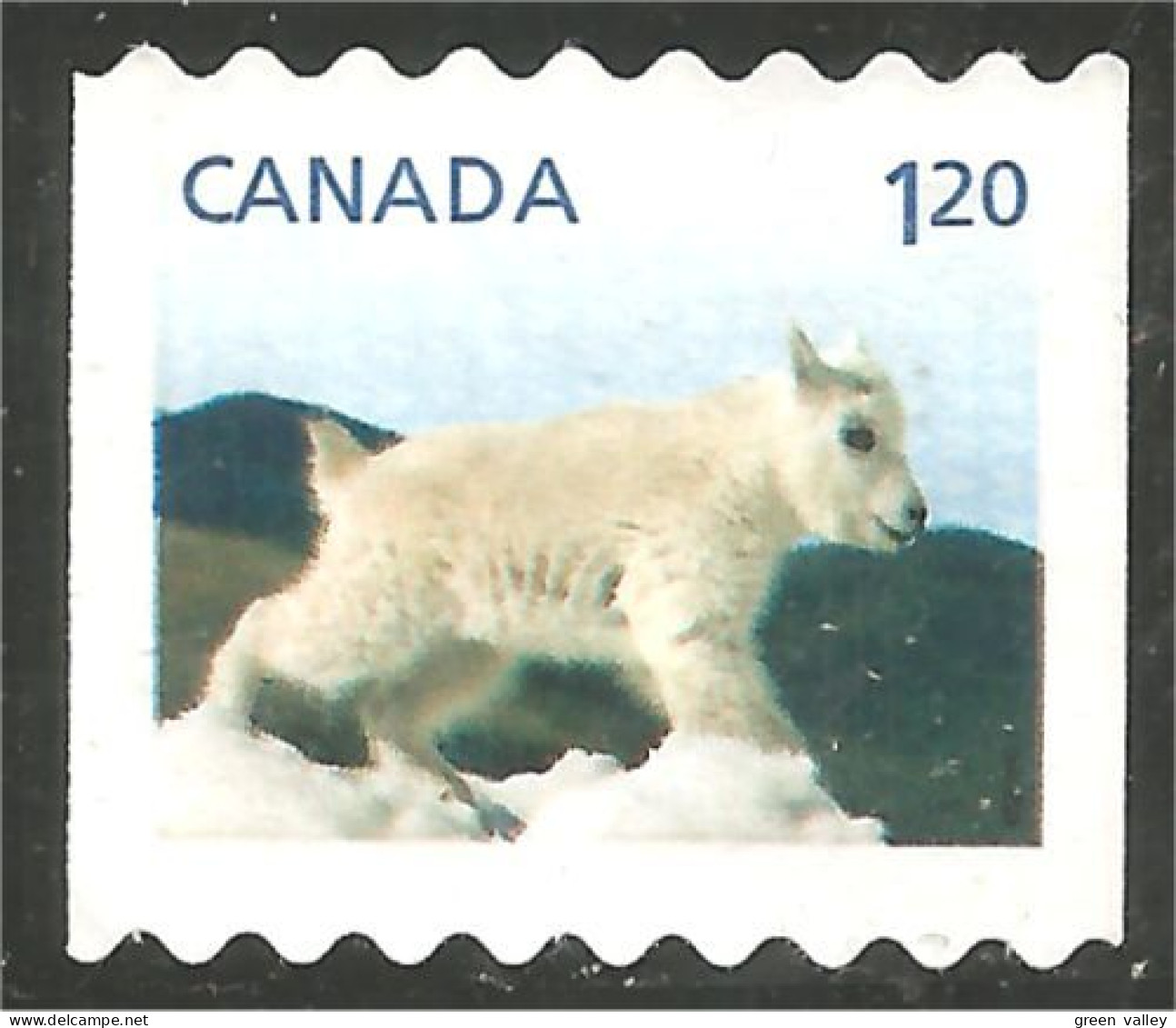 Canada Chèvre Montagne Mountain Goat Mint No Gum (12-002) - Sonstige & Ohne Zuordnung