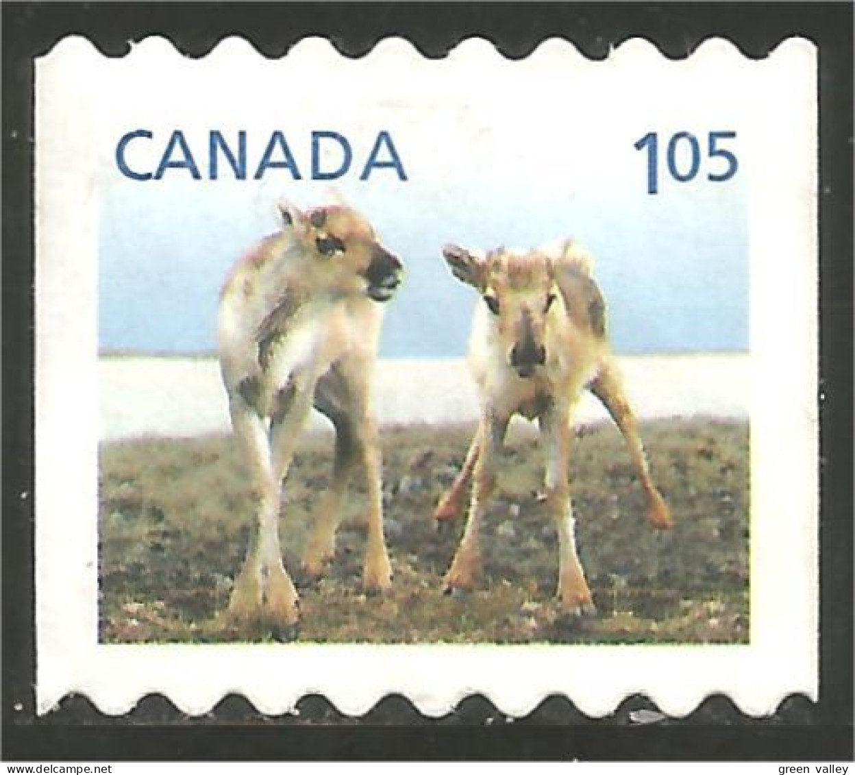 Canada Renne Caribou Reindeer Mint No Gum (10-008) - Usati