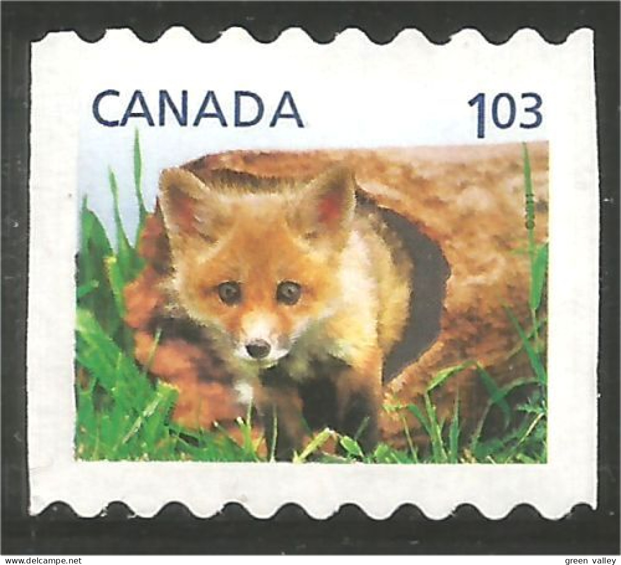 Canada Renard Fox Fuchs Volpe Raposa Zorro Vos Mint No Gum (10-005) - Cani