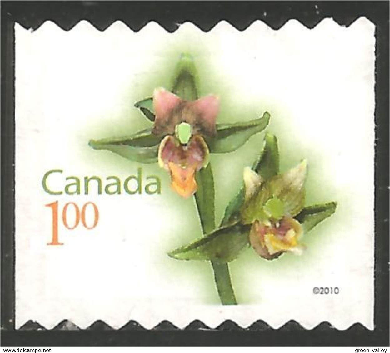 Canada Hellebore Helleborine Mint No Gum (10-001) - Usados