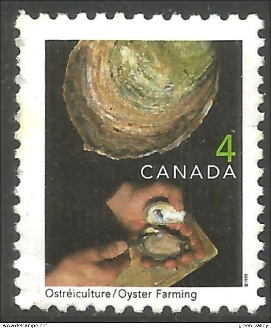 Canada Huitre Oyster Ostra Ostrica Auster Oester Mint No Gum (4-017) - Ernährung