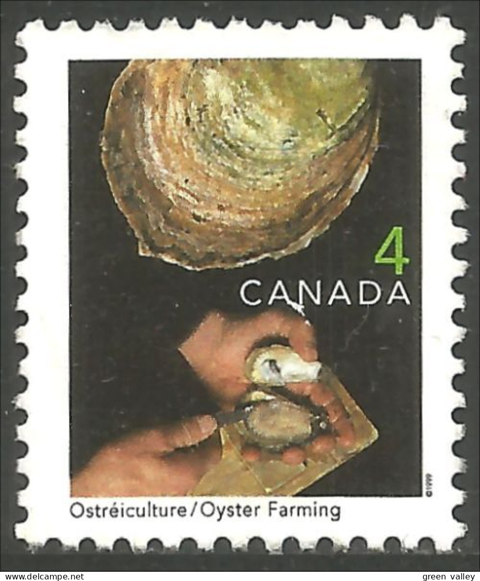 Canada Huitre Oyster Ostra Ostrica Auster Oester Mint No Gum (4-018) - Coneshells