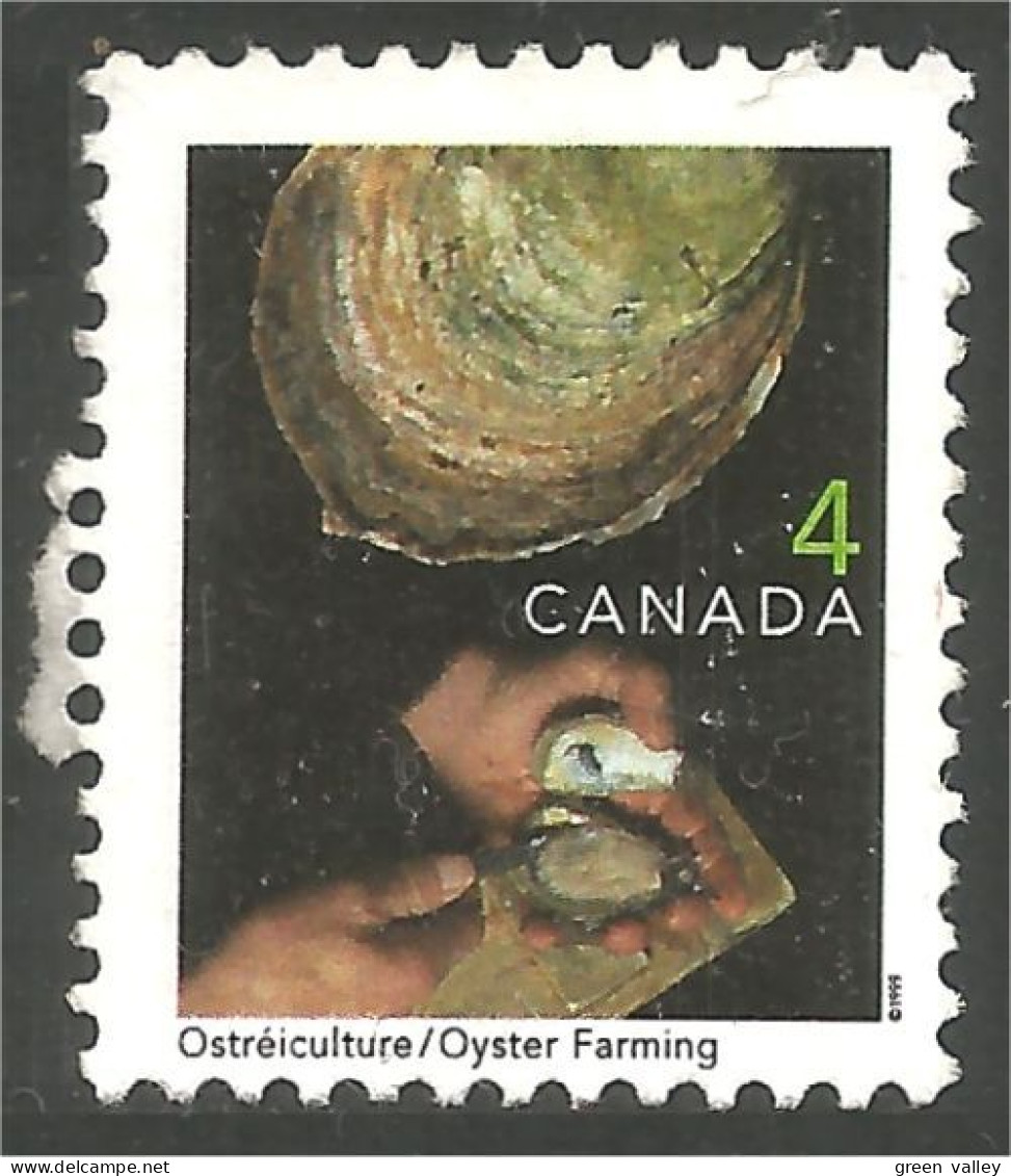 Canada Huitre Oyster Ostra Ostrica Auster Oester Mint No Gum (4-015) - Conchas