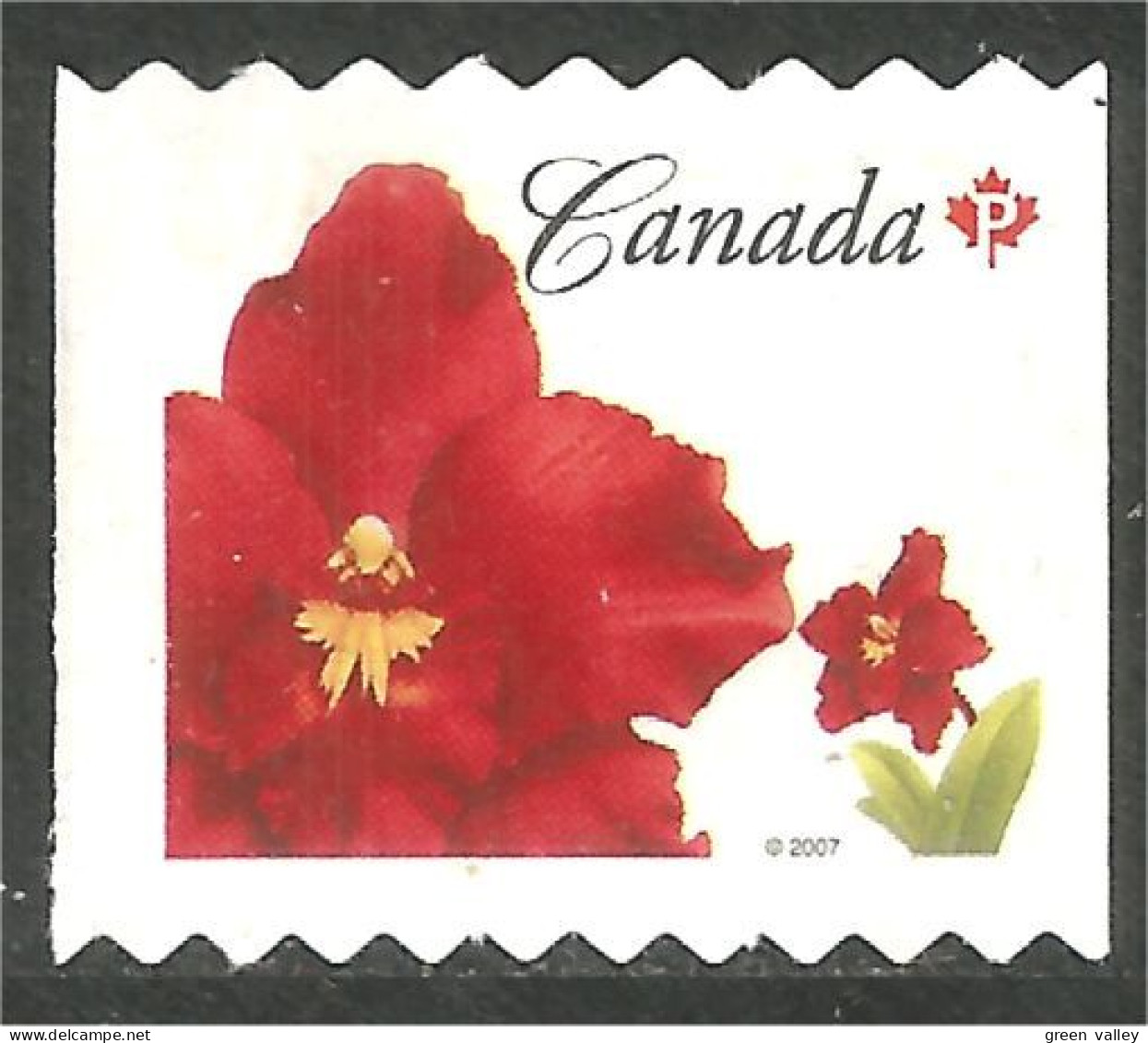 Canada Island Red Flower Coil Roulette Mint No Gum (422) - Sonstige & Ohne Zuordnung