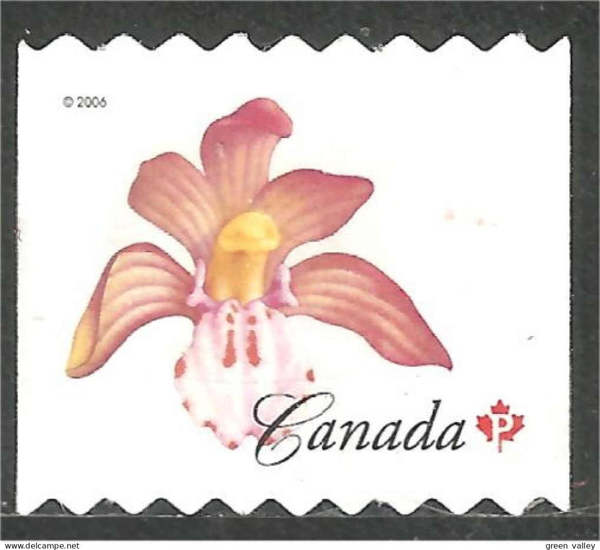 Canada Spotted Coralroot Flower Fleur Racine De Corail Tachetée Coil Roulette Mint No Gum (428) - Other & Unclassified