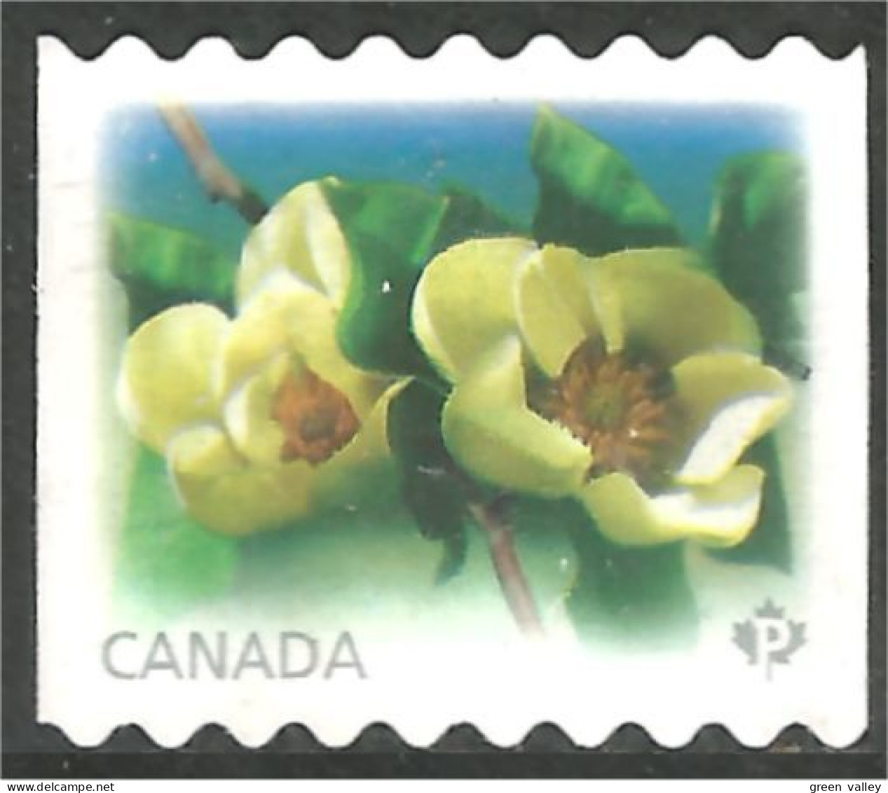 Canada Fleur Flower Rose Coil Roulette Mint No Gum (425) - Usati