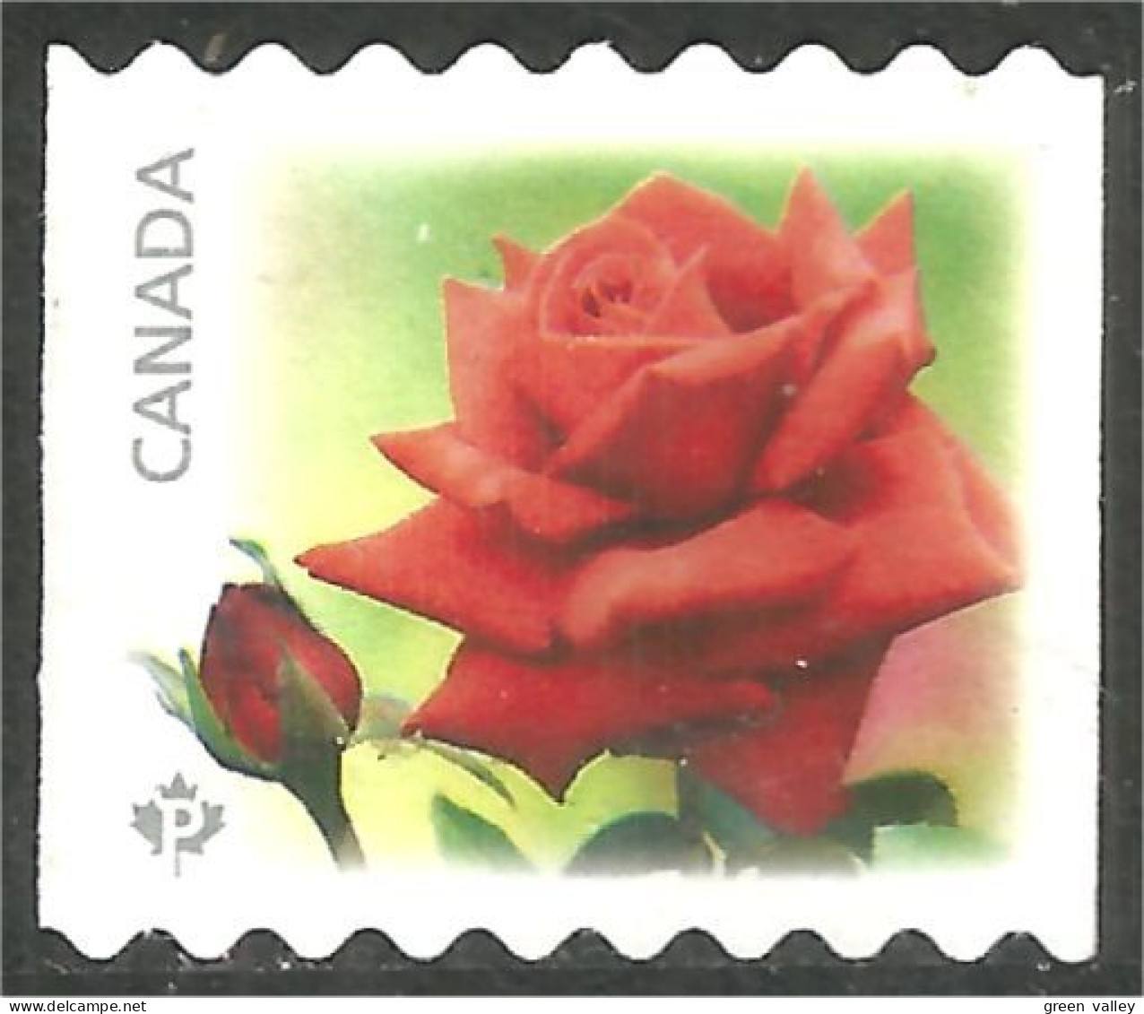 Canada Rose Fleur Flower Coil Roulette Mint No Gum (423) - Used Stamps