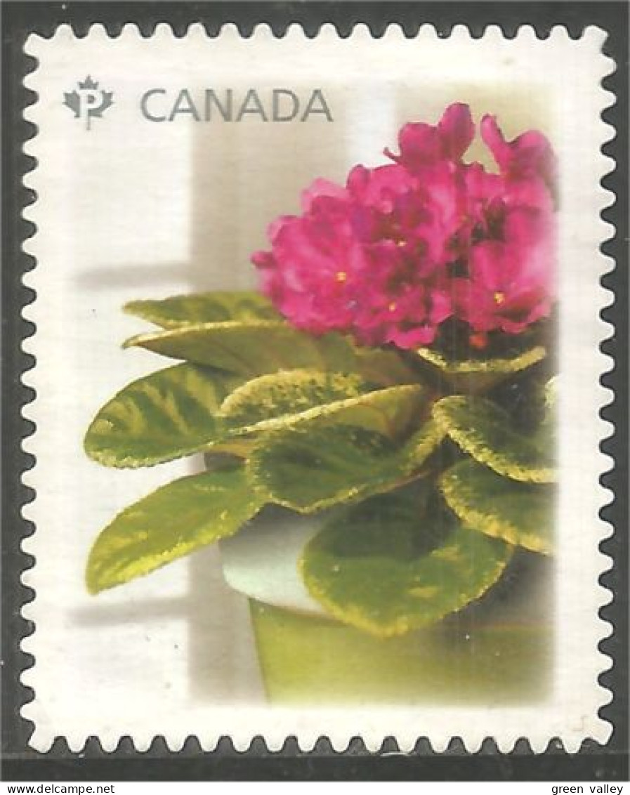 Canada African Violet Violette Africaine Mint No Gum (363a) - Usados