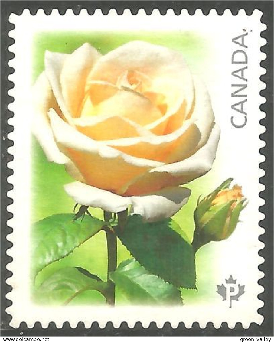 Canada Yellow Rose Jaune Mint No Gum (361b) - Sonstige & Ohne Zuordnung