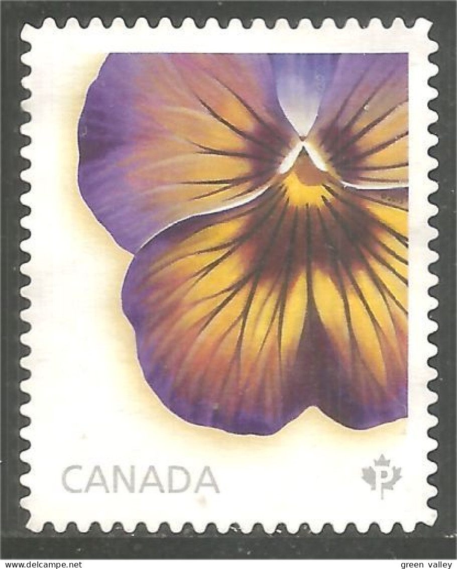 Canada Pensée Pansy Violet Violette Mint No Gum (359c) - Oblitérés