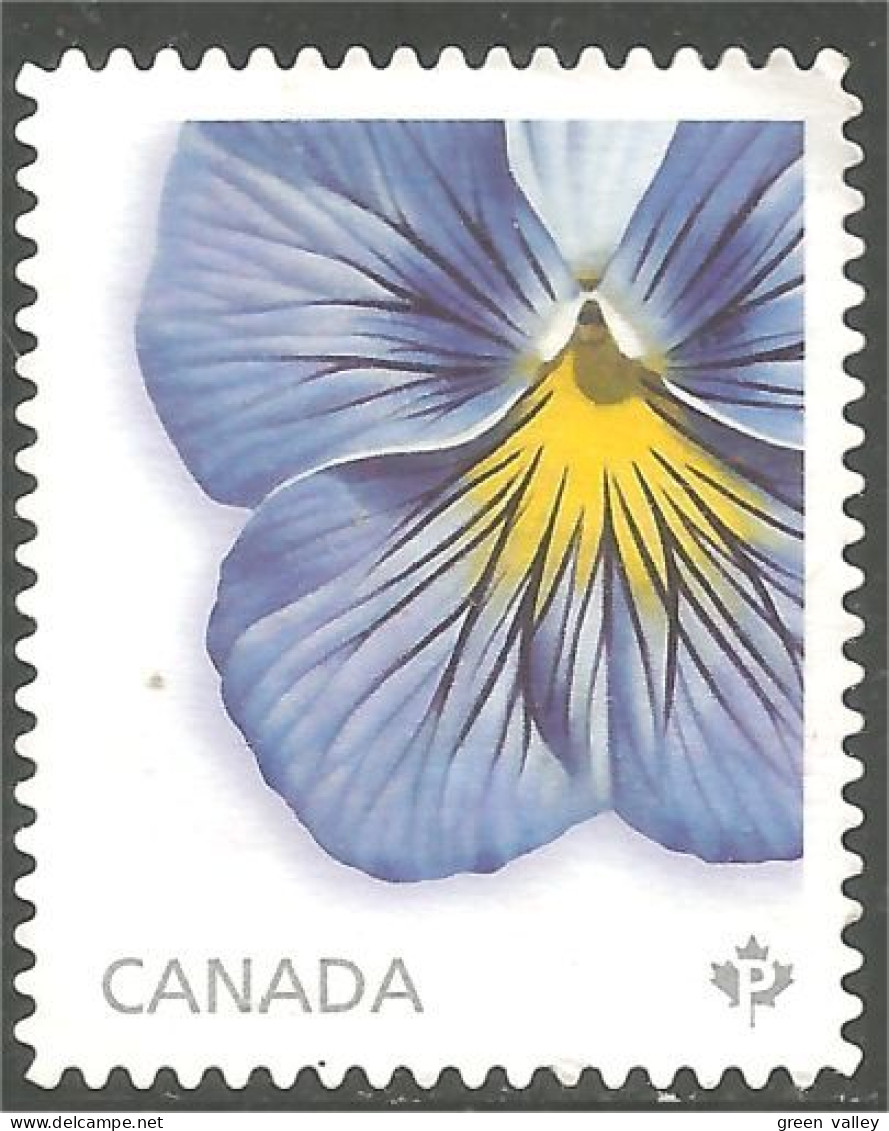 Canada Pensée Pansy Violet Violette Mint No Gum (357) - Other & Unclassified