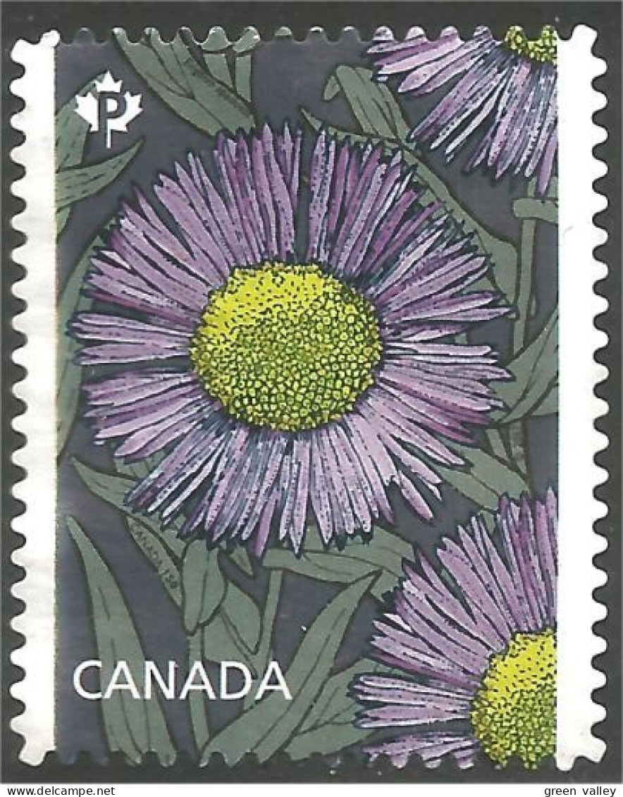 Canada Fleur Flower Mint No Gum (182) - Usados