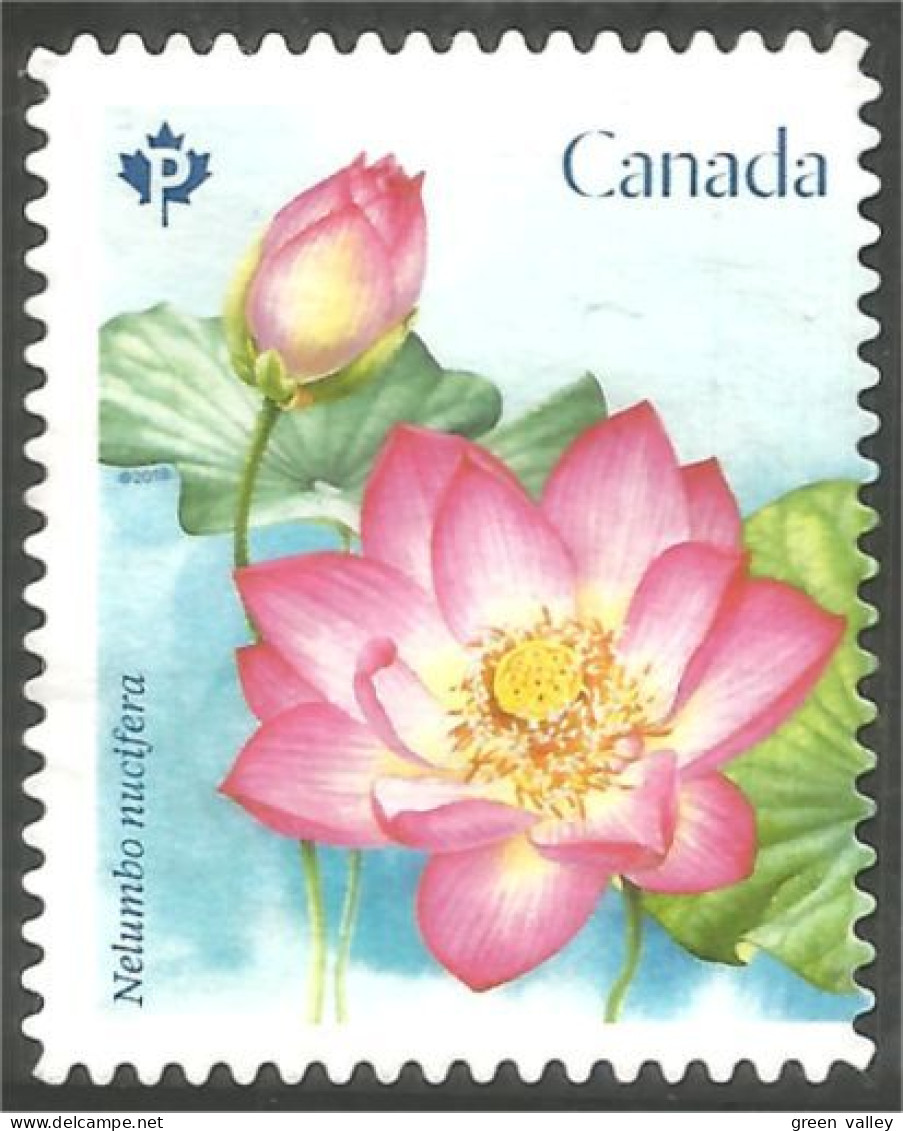 Canada Fleur Flower Rose Mint No Gum (174) - Oblitérés