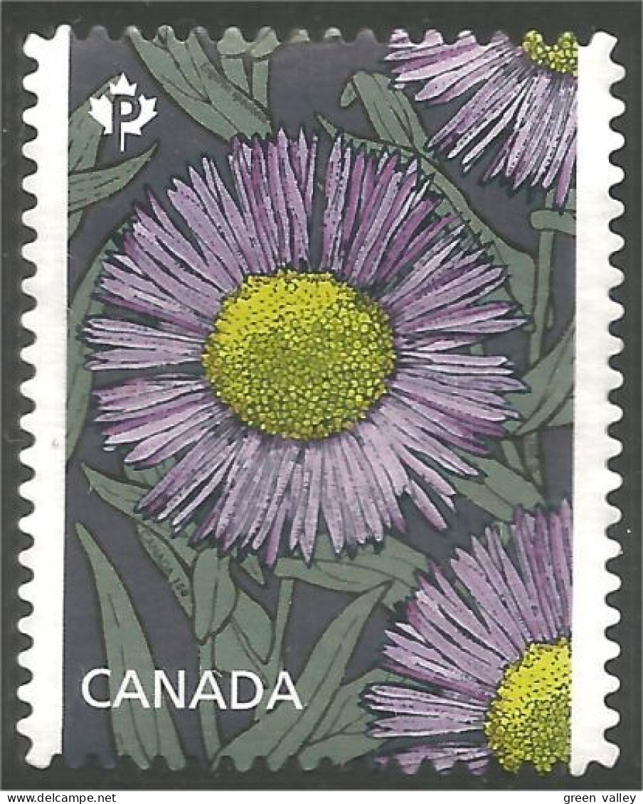 Canada Fleur Flower Mint No Gum (181) - Andere & Zonder Classificatie
